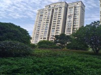 其它圖