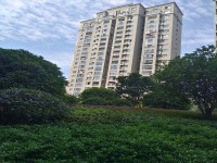 其它圖