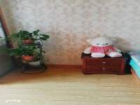 其它圖