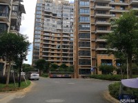 其它圖