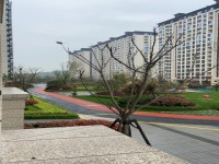 其它圖