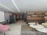 其它圖