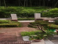 其它圖